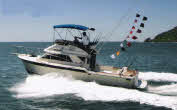 White Marlin Boat 